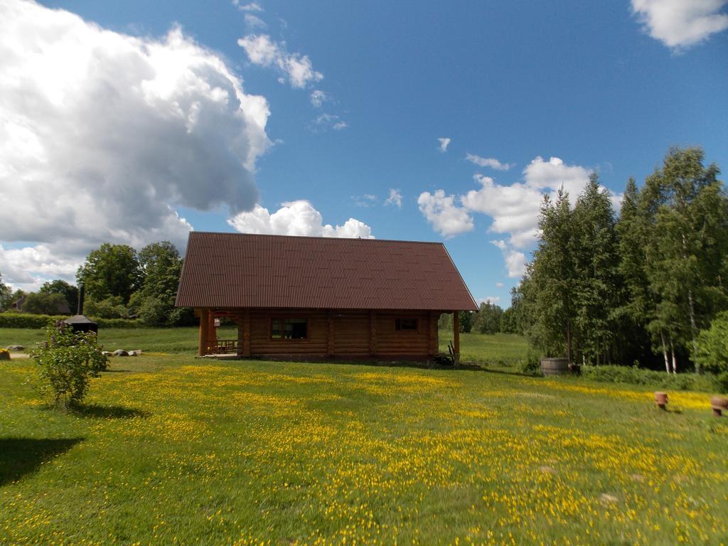 Guest House Kalnini Karli Luaran gambar